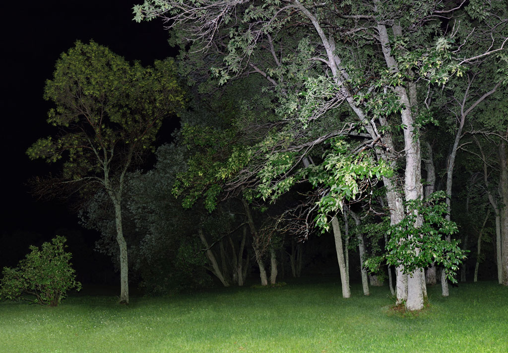 jocelyn philibert Illumination