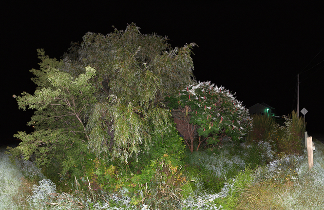 jocelyn philibert Sites